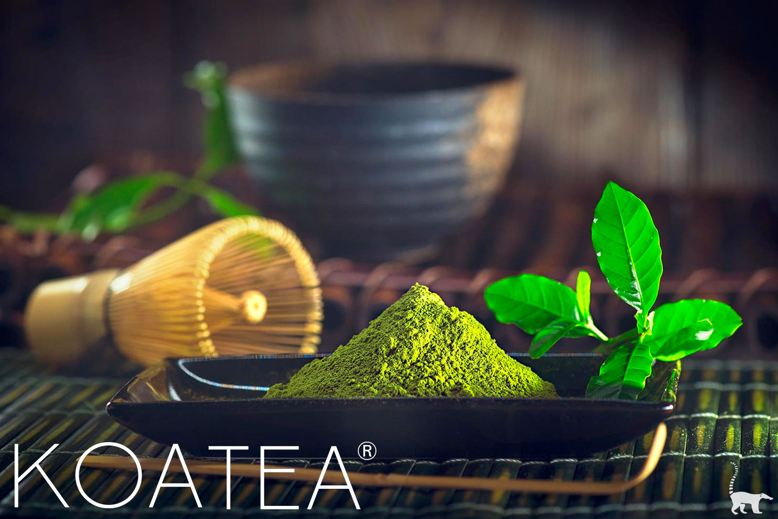 Préparation traditionnelle du thé Matcha au Japon