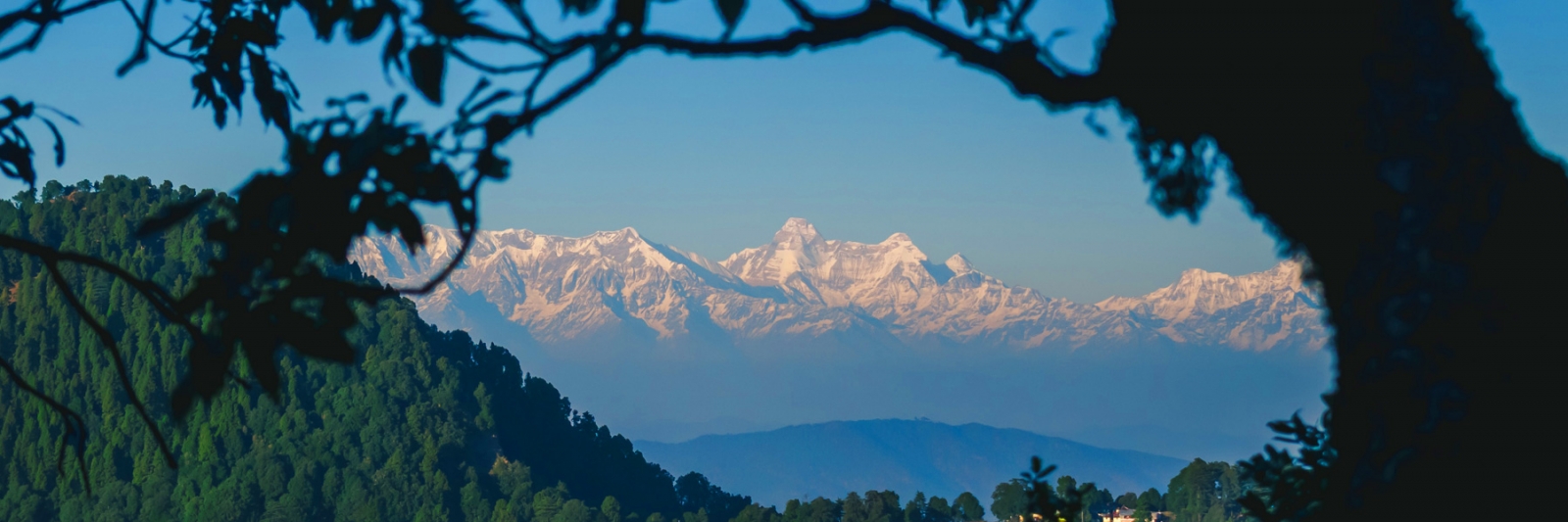 Cap sur la région Darjeeling !